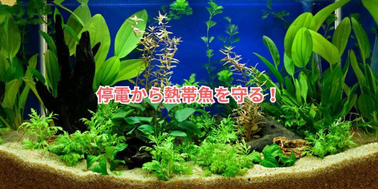 停電から熱帯魚を守る方法ヒーターが止まる
